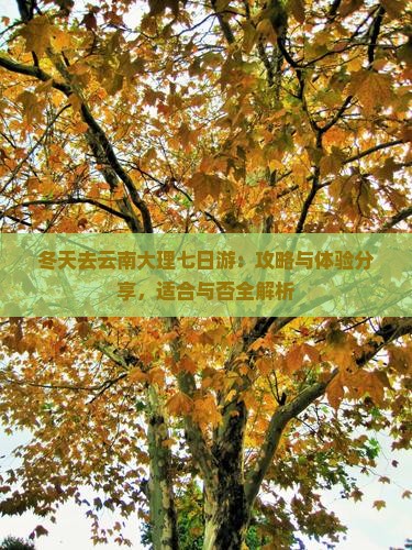 冬天去云南大理七日游：攻略与体验分享，适合与否全解析