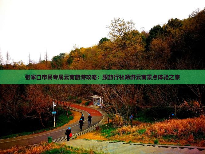 张家口市民专属云南旅游攻略：跟旅行社畅游云南景点体验之旅