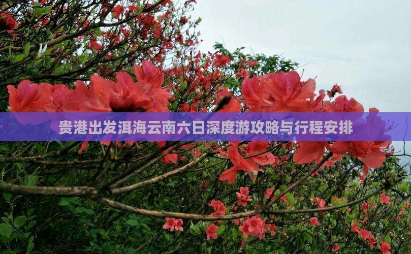 贵港出发洱海云南六日深度游攻略与行程安排