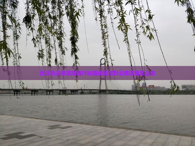 武汉去云南洱海旅行社路线武汉到云南洱海怎么去