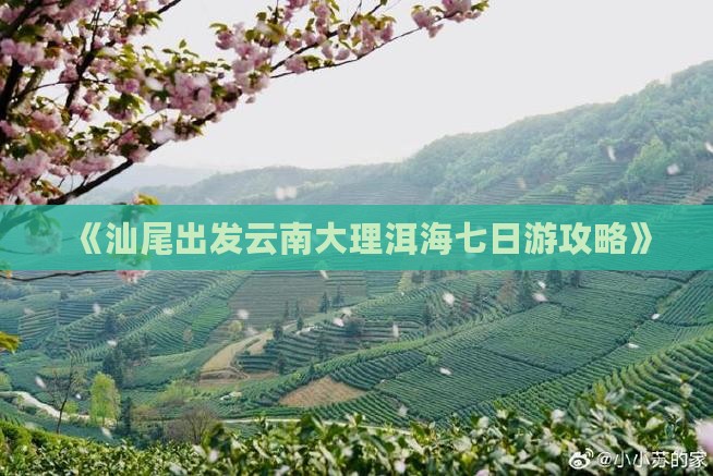 《汕尾出发云南大理洱海七日游攻略》
