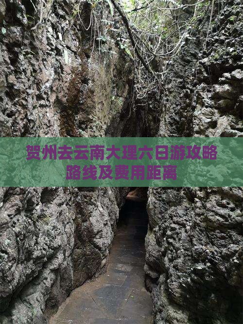贺州去云南大理六日游攻略路线及费用距离