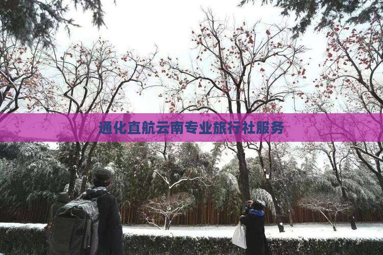 通化直航云南专业旅行社服务