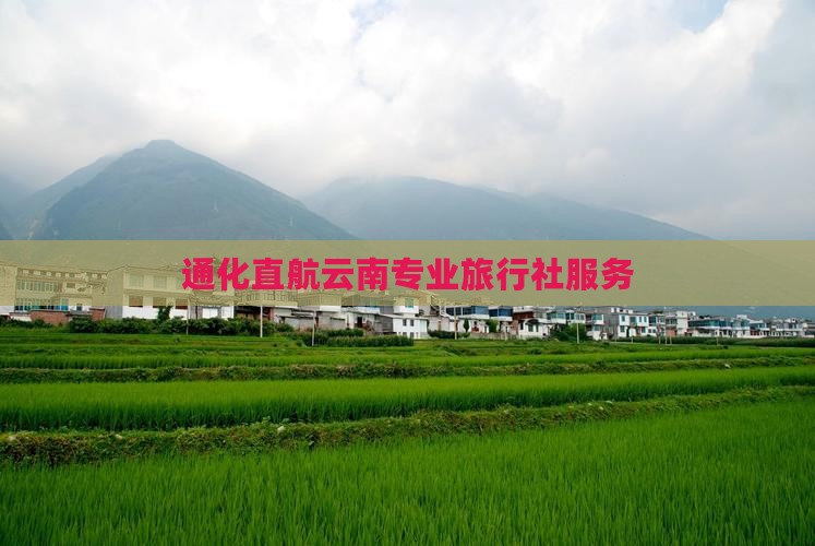 通化直航云南专业旅行社服务