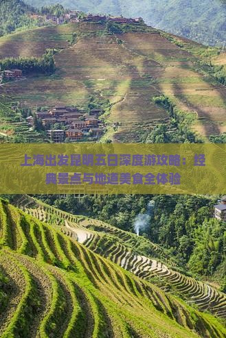 上海出发昆明五日深度游攻略：经典景点与地道美食全体验
