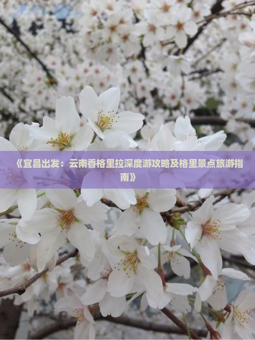 《宜昌出发：云南香格里拉深度游攻略及格里景点旅游指南》