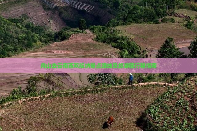 舟山去云南西双版纳景点路线及旅游团行程指南