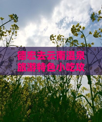 德宏去云南温泉旅游特色小吃攻略