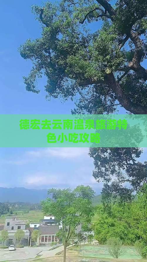 德宏去云南温泉旅游特色小吃攻略