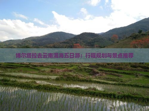 博尔塔拉去云南洱海五日游：行程规划与景点推荐