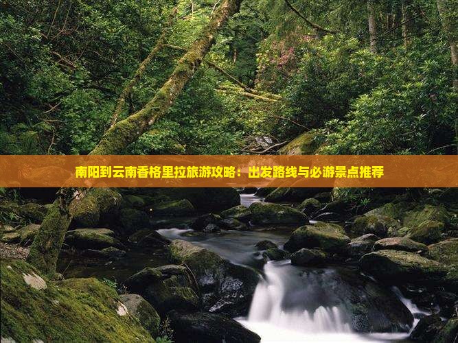南阳到云南香格里拉旅游攻略：出发路线与必游景点推荐