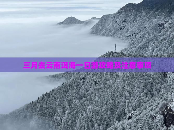 三月去云南洱海一日游攻略及注意事项