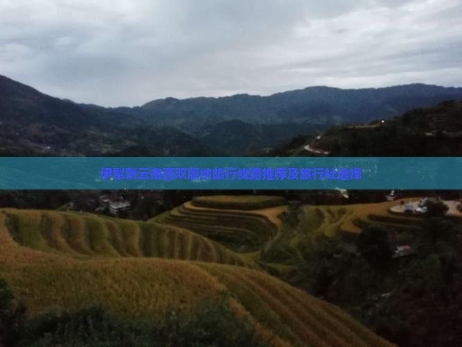 伊犁到云南西双版纳旅行线路推荐及旅行社选择