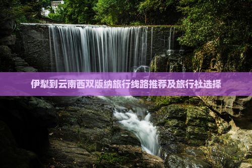 伊犁到云南西双版纳旅行线路推荐及旅行社选择