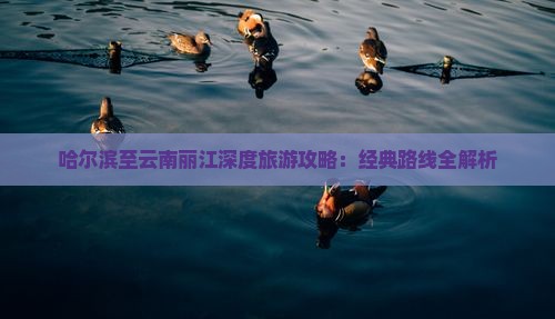 哈尔滨至云南丽江深度旅游攻略：经典路线全解析