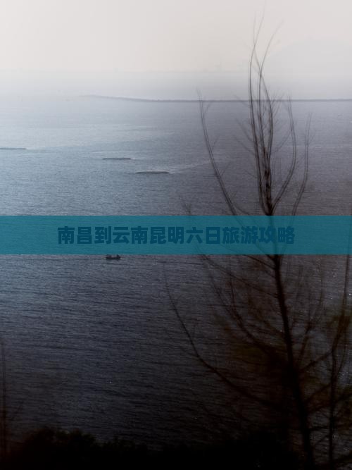 南昌到云南昆明六日旅游攻略