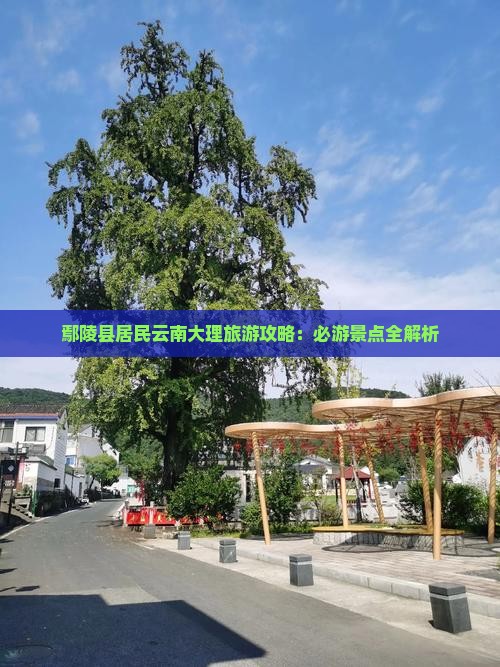 鄢陵县居民云南大理旅游攻略：必游景点全解析