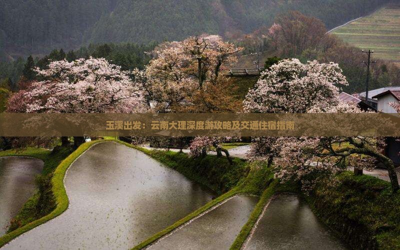 玉溪出发：云南大理深度游攻略及交通住宿指南