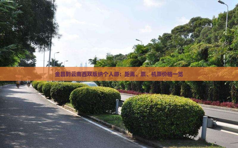 金昌到云南西双版纳个人游：距离、票、机票价格一览
