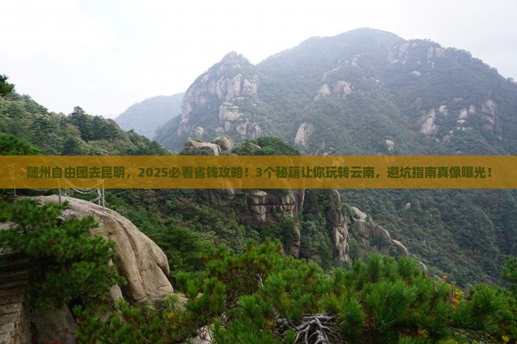 随州到云南昆明自由团