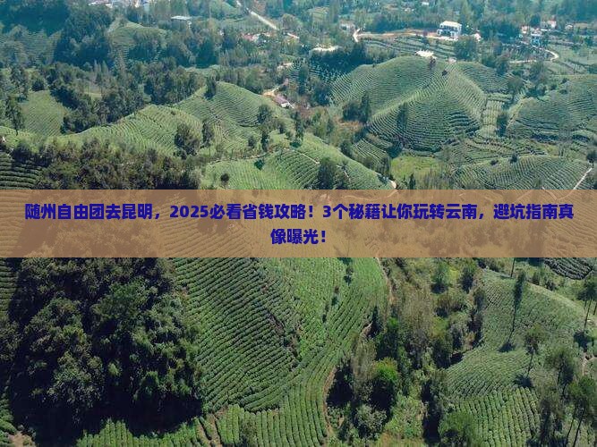 随州到云南昆明自由团