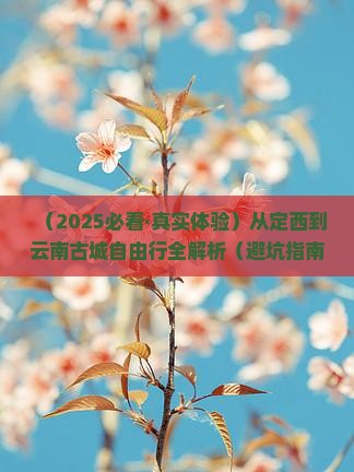 定西去云南古城攻略 定西去云南古城攻略