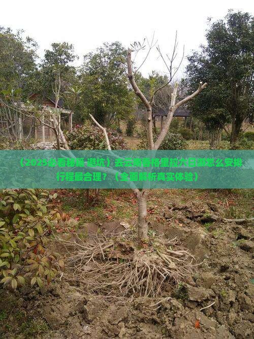 白银去云南香格里拉六日游