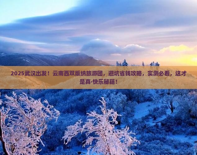 武汉到云南西双版纳大型旅游团