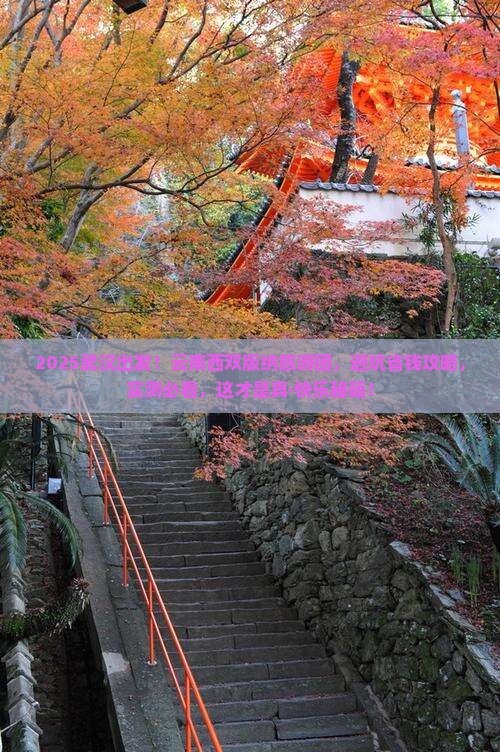 武汉到云南西双版纳大型旅游团