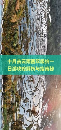 十月去云南西双版纳一日