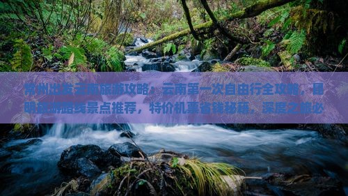 常州去云南昆明旅游