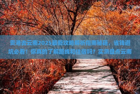 贵港去云南攻略