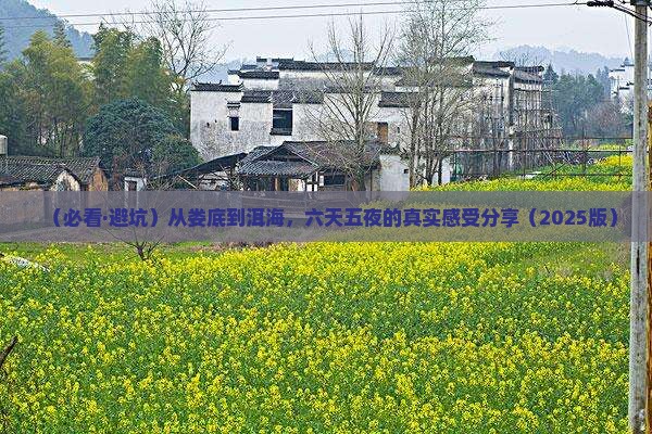 娄底去云南洱海六日游