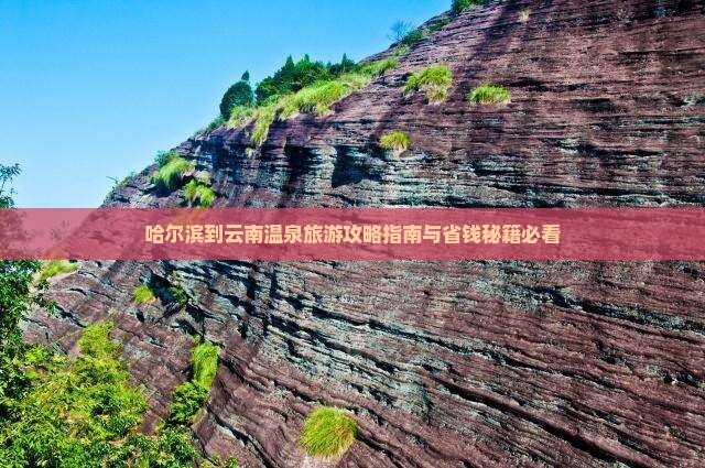 哈尔滨到云南温泉团体旅游