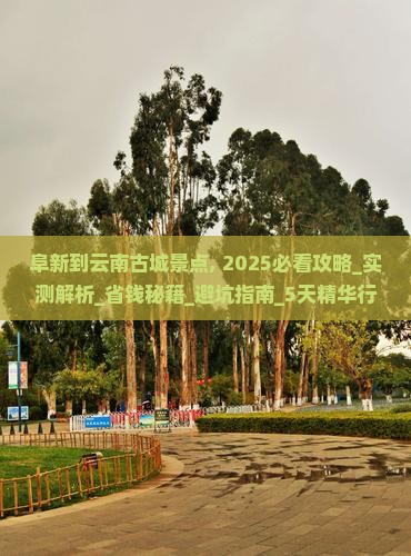 阜新到云南古城景点