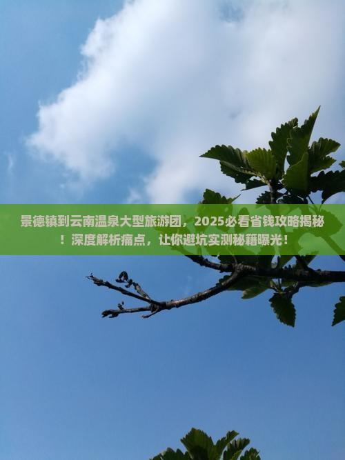 景德镇到云南温泉大型旅游团