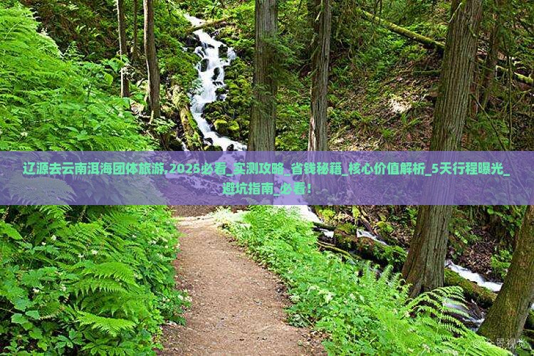 辽源去云南洱海团体旅游