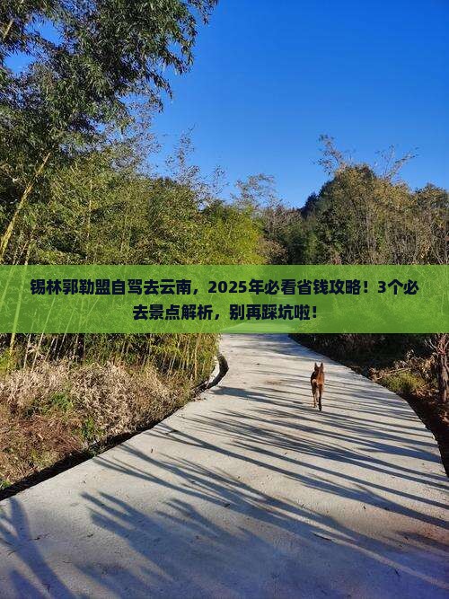 锡林郭勒盟到云南哪里玩