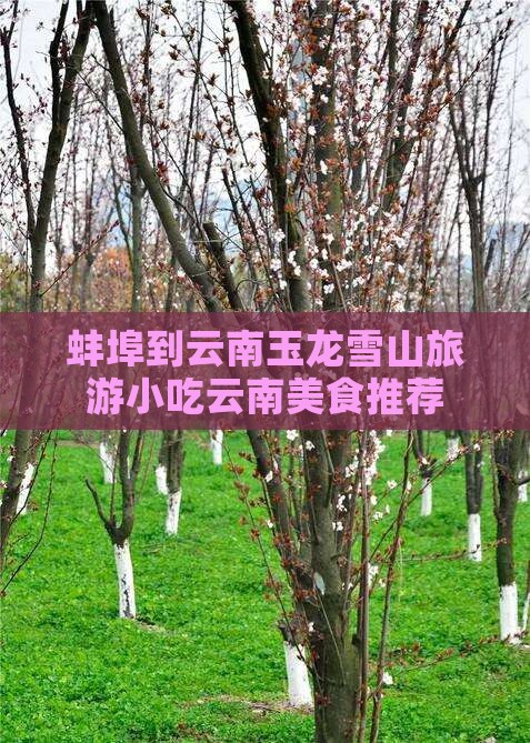 蚌埠到云南玉龙雪山旅游小吃