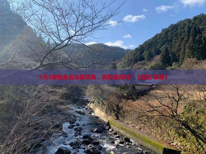 普洱去云南洱海个人游