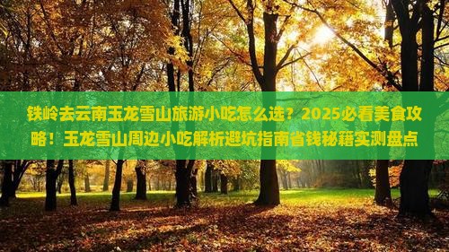 铁岭去云南玉龙雪山旅游小吃