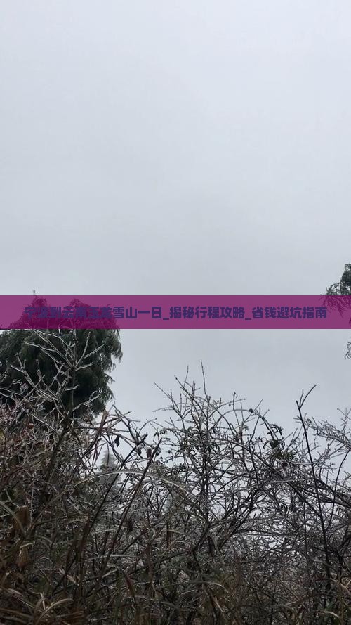 宁波到云南玉龙雪山一日
