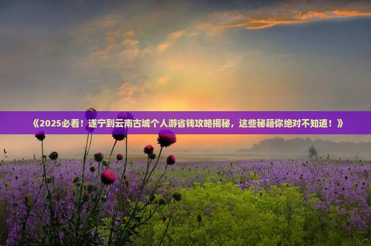 遂宁到云南古城个人游