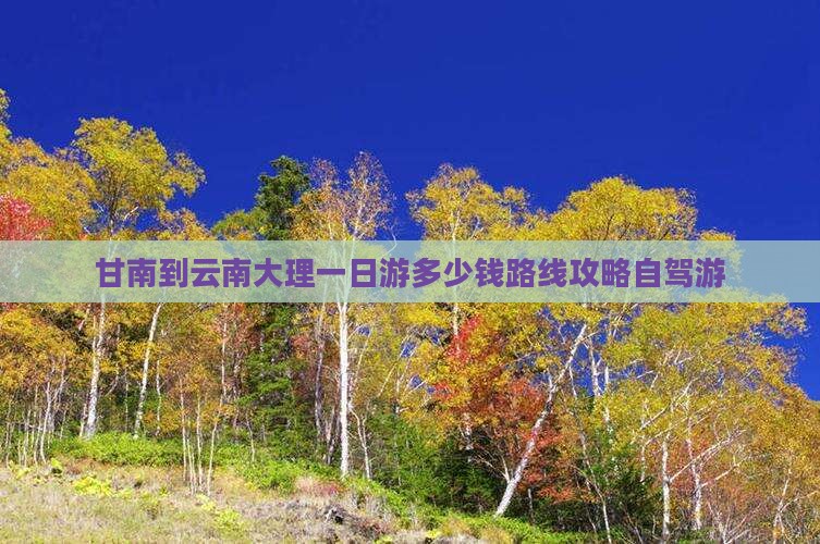 甘南到云南大理一日