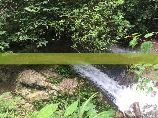 果洛到云南洱海景点