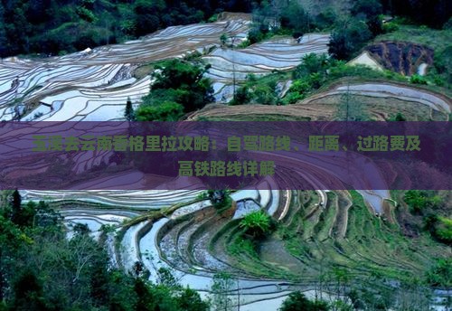 玉溪去云南香格里拉攻略