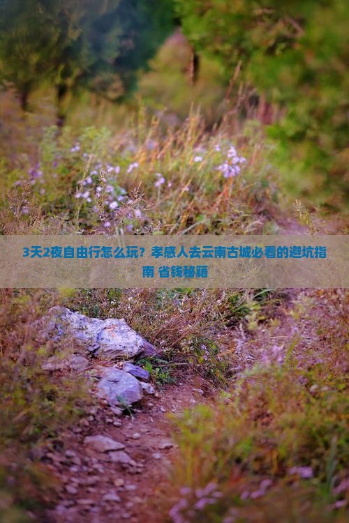 孝感去云南古城自由团