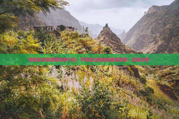 衡阳去云南昆明旅游小吃