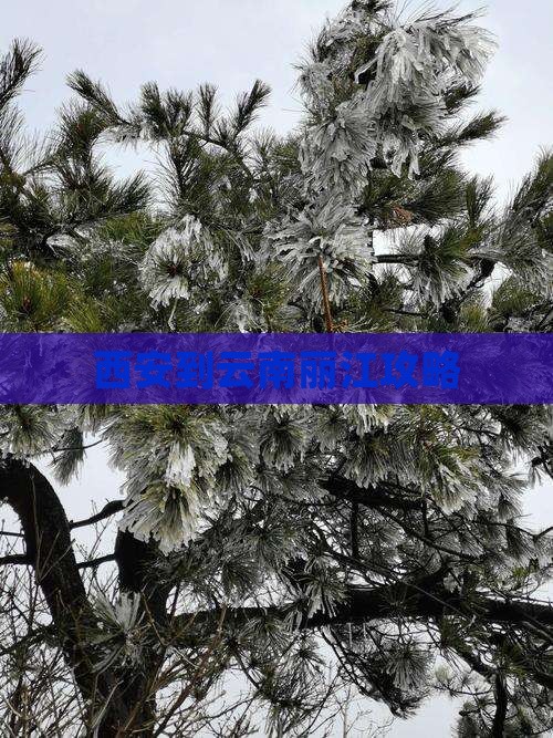 西安到云南丽江攻略