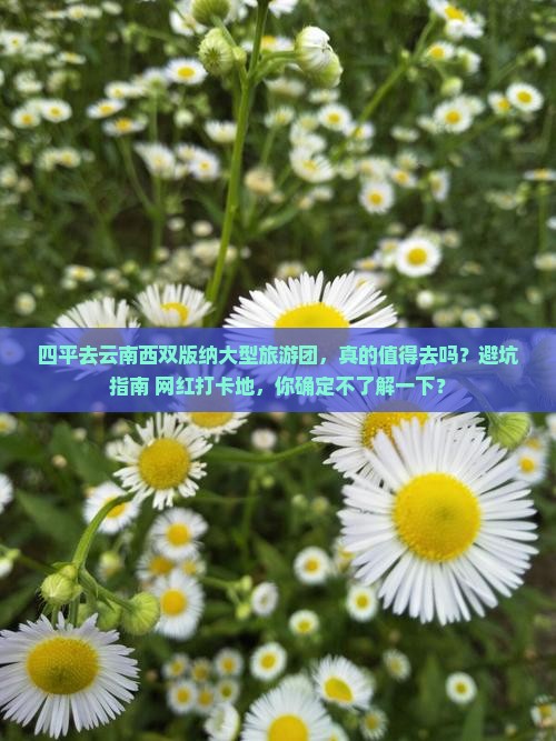 四平去云南西双版纳大型旅游团